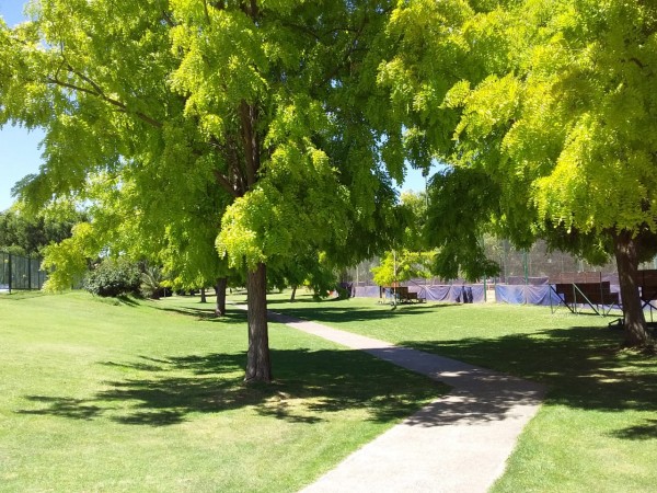 Neuquen. Alquiler. Casa Barrio Cerrado Rincón Club de Campo