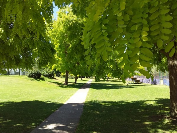 Neuquen. Alquiler. Casa Barrio Cerrado Rincón Club de Campo