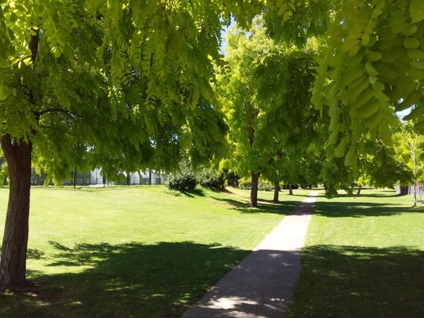 Neuquen. Alquiler. Casa Barrio Cerrado Rincón Club de Campo