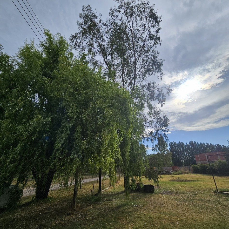 Neuquen. Plottier. Casa 3 dormitorios. Zona Rio Limay (UPCN)