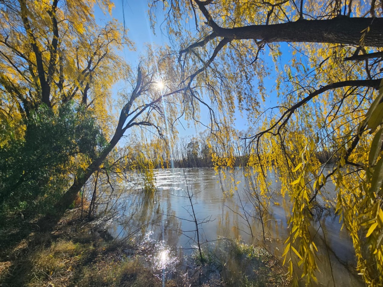 Neuquen. Alquiler Casa 2 dormitorios en Predio