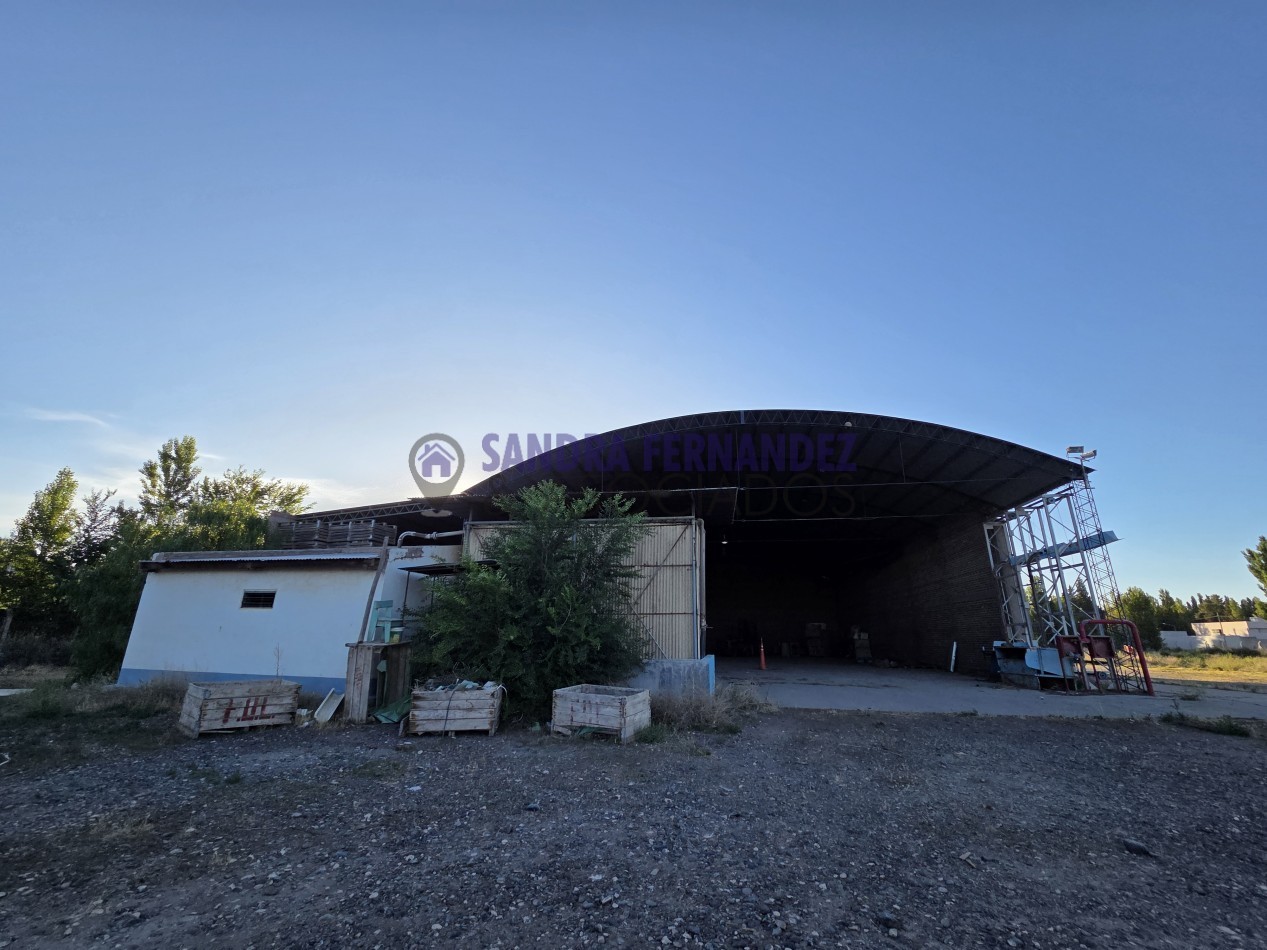 Neuquen Centenario Alquiler Predio de 6 hectareas con tinglado, galpon, casa y oficinas