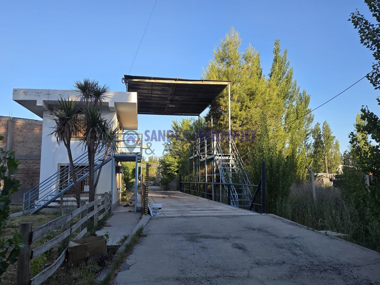 Neuquen Centenario Alquiler Predio de 6 hectareas con tinglado, galpon, casa y oficinas
