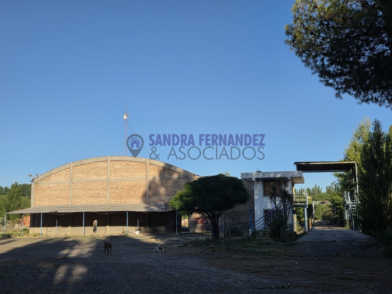 Neuquen Centenario Alquiler Predio de 6 hectareas con tinglado, galpon, casa y oficinas