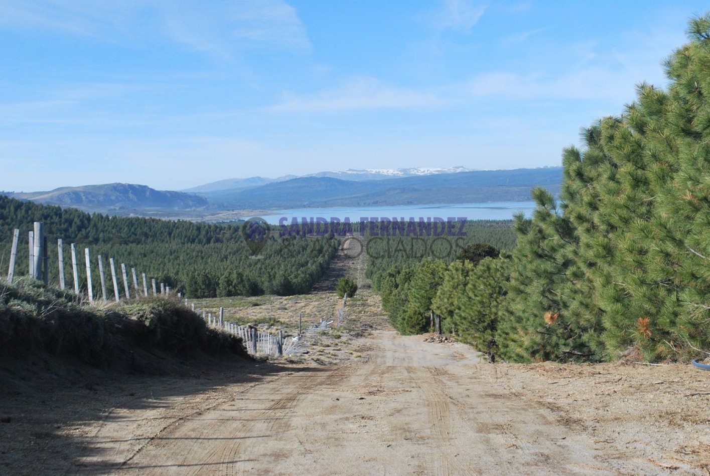 Neuquen. Venta. Villa Pehuenia. Lotes en Altos de Pehuenia SE ACEPTA PERMUTA100% POR VEHICULO.