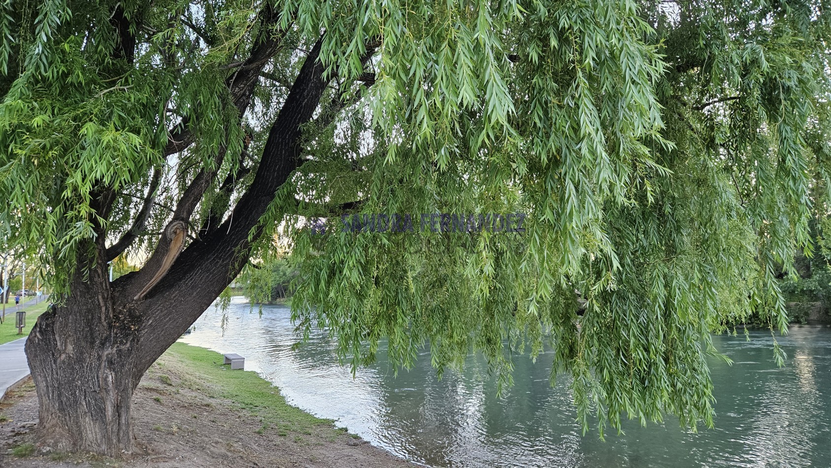 Neuquen  Paseo de la Costa. Compmejo Ribera urbana