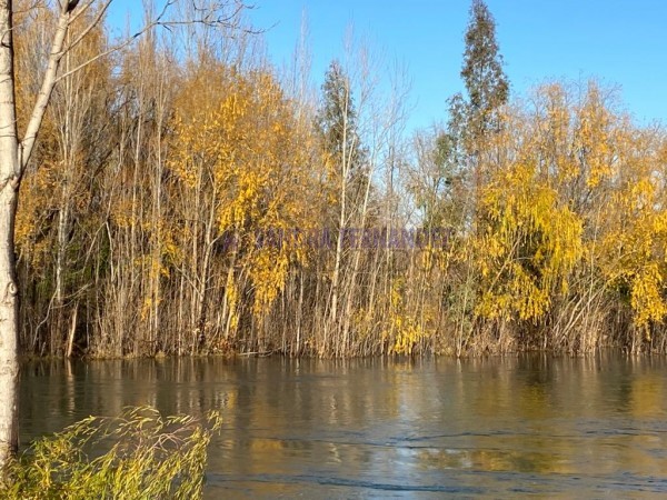 Neuquen, Alquiler, Departamento de 2 dormitorio(1 en suite) Cochera Paseo de la Costa Ribera Urbana