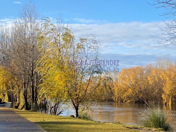 Neuquen, Alquiler, Departamento de 2 dormitorio(1 en suite) Cochera Paseo de la Costa Ribera Urbana