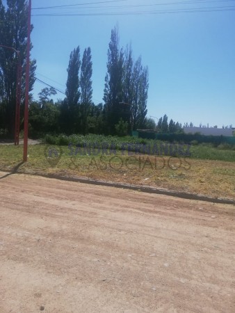 Rio Negro Cipolletti Venta Lote Barrio Los Lirios 