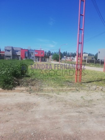 Rio Negro Cipolletti Venta Lote Barrio Los Lirios 