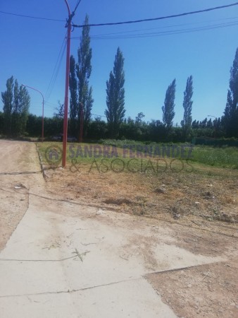 Rio Negro Cipolletti Venta Lote Barrio Los Lirios 