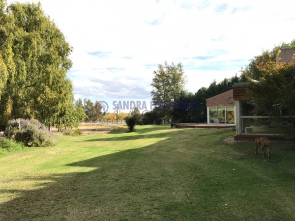 Neuquen. Plottier. Venta. Predio con Casa 3 dormitorios. Piscina