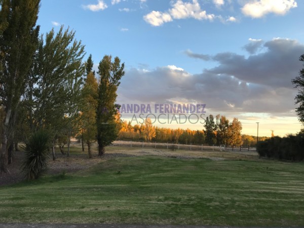 Neuquen. Plottier. Venta. Predio con Casa 3 dormitorios. Piscina