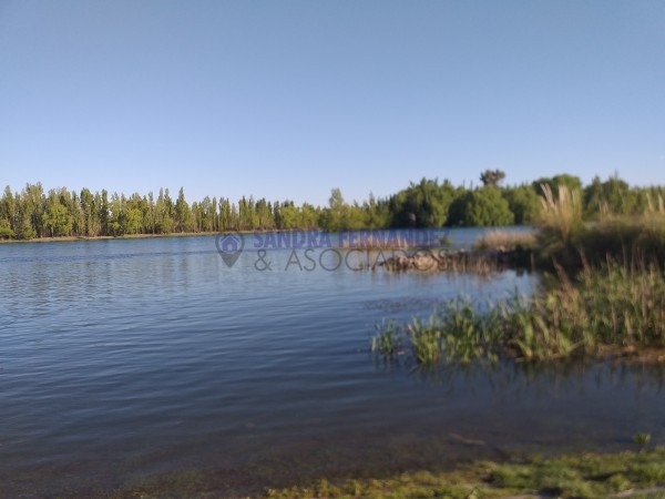 Neuquen. Alquiler. Departamento 1 dormitorio Paseo de la Costa