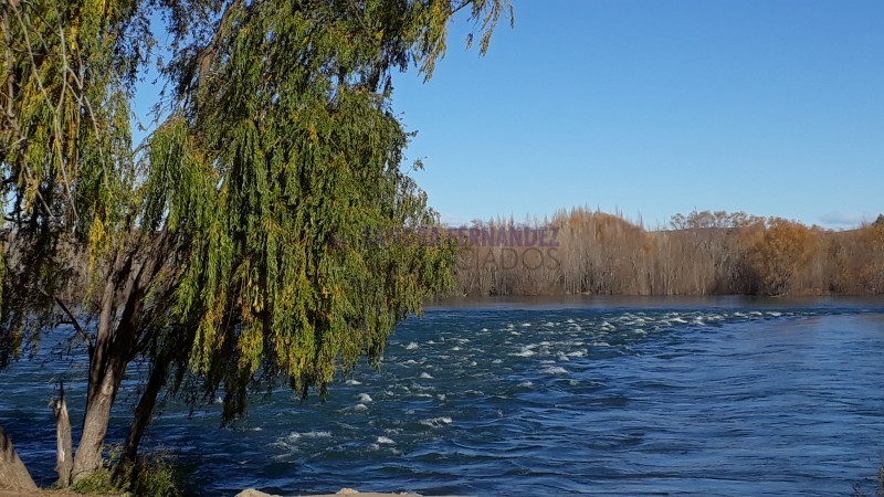 Neuquen. Alquiler. Departamento 1 dormitorio Paseo de la Costa