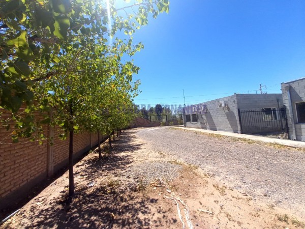 Neuquen. Centenario. Parque Industrial Oeste. Predio con Oficinas y Galpon