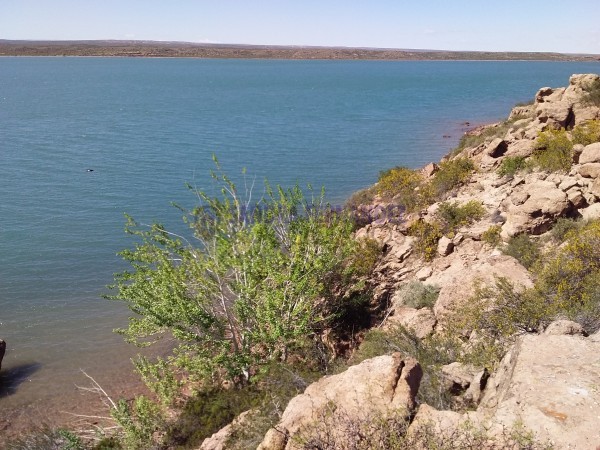 Neuquen. Alquiler Temporario. Casas 2 dormitorios. Zona Chocón Arroyito