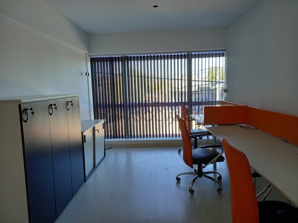 Neuquen. Alquiler. Oficinas