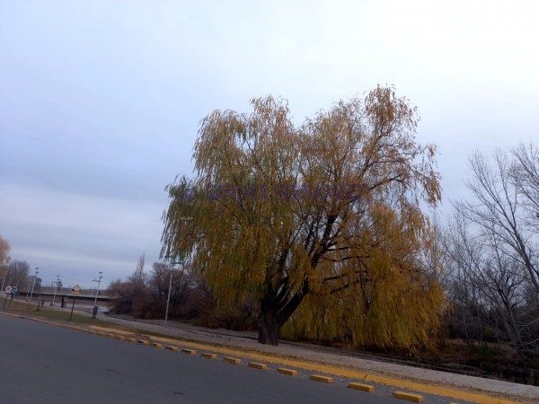 Neuquen Alquiler 1 DORMITORIO Paseo de la Costa, Complejo Cerrado Ribera Urbana