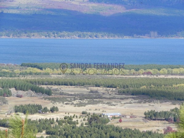 Neuquen. Venta. Villa Pehuenia. Lotes en Altos de Pehuenia SE ACEPTA PERMUTA100% POR VEHICULO.