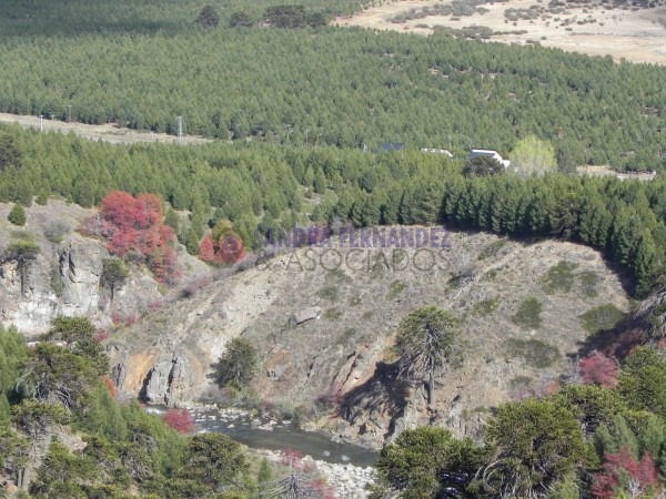 Neuquen. Venta. Villa Pehuenia. Lotes en Altos de Pehuenia SE ACEPTA PERMUTA100% POR VEHICULO.