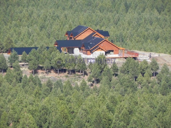 Neuquen. Venta. Villa Pehuenia. Lotes en Altos de Pehuenia SE ACEPTA PERMUTA100% POR VEHICULO.