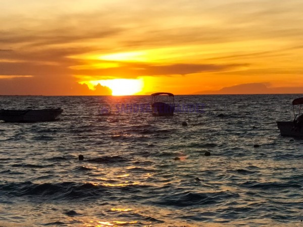 UNA SEMANA ISLA DE BARU CARTAGENA DE INDIAS COLOMBIA. 