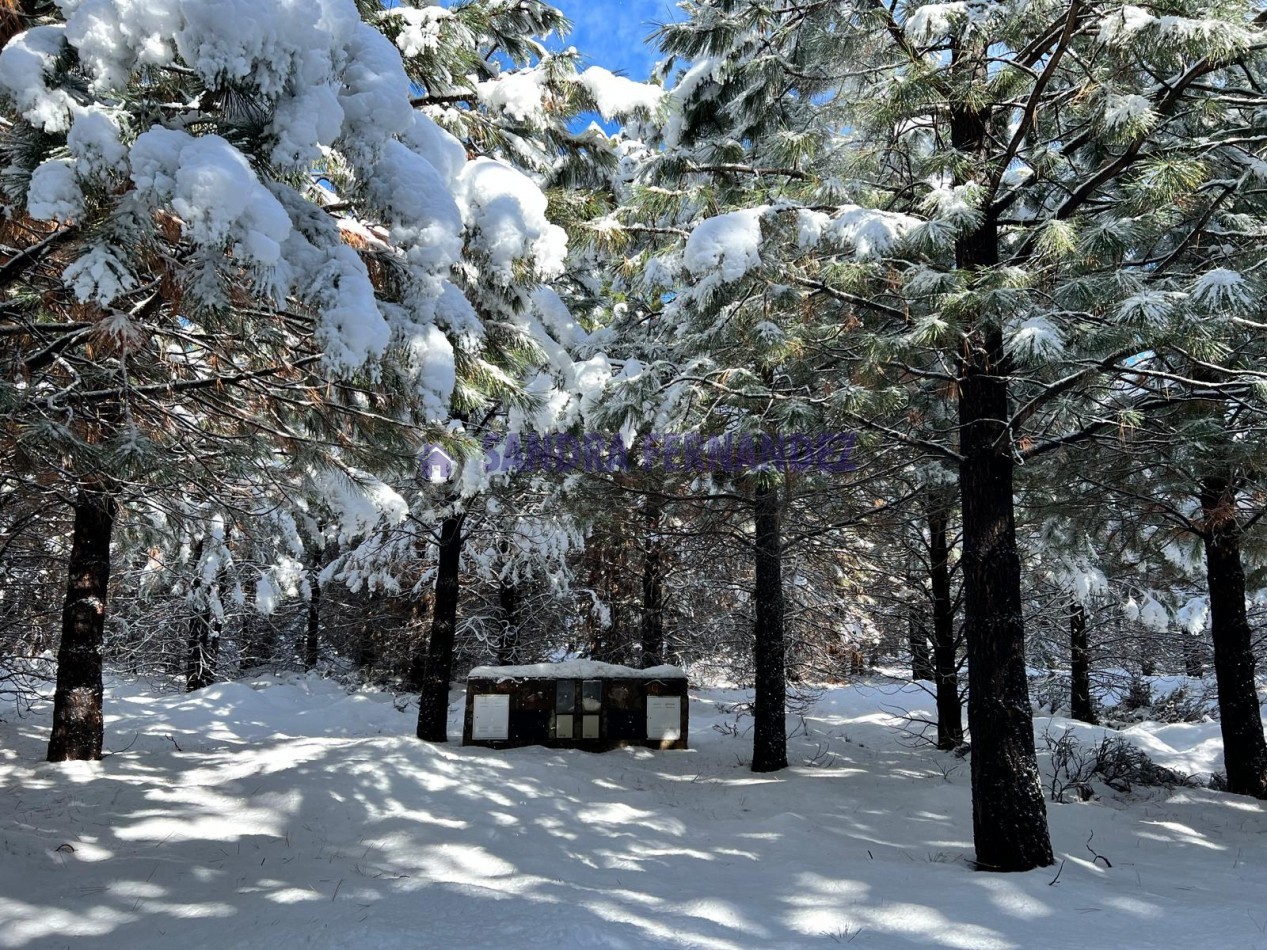 Neuquen. Venta. Villa Pehuenia. 2 Lotes en Altos de Pehuenia