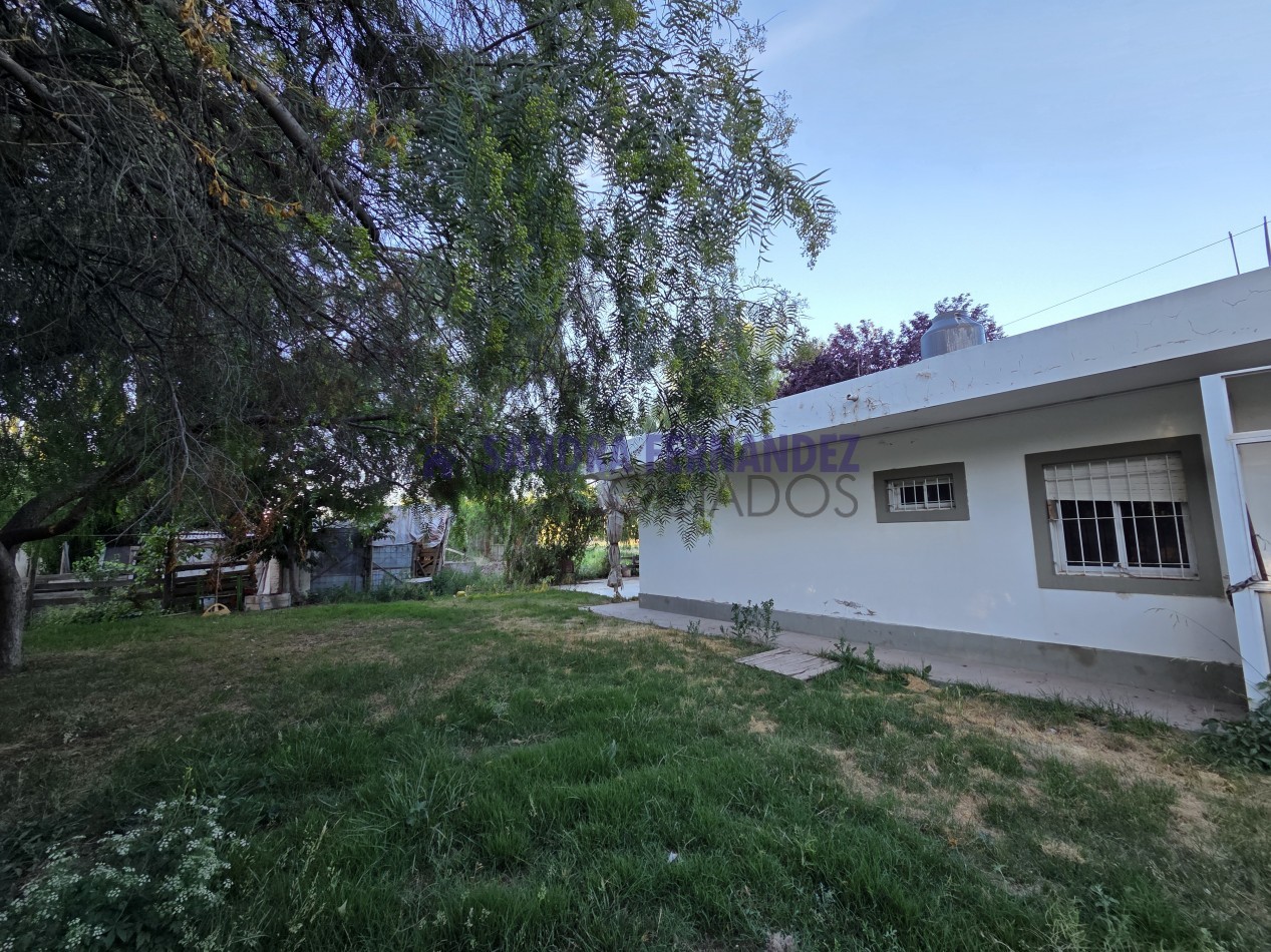 Neuquen  Centenario Alquiler Predio con Oficina Bascula Tinglado y casa de 3 dormitorios