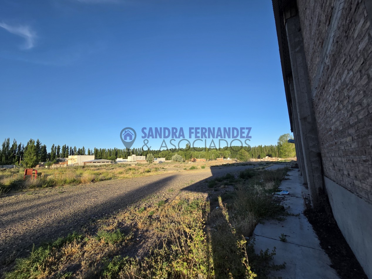 Neuquen  Centenario Alquiler Predio con Oficina Bascula Tinglado y casa de 3 dormitorios