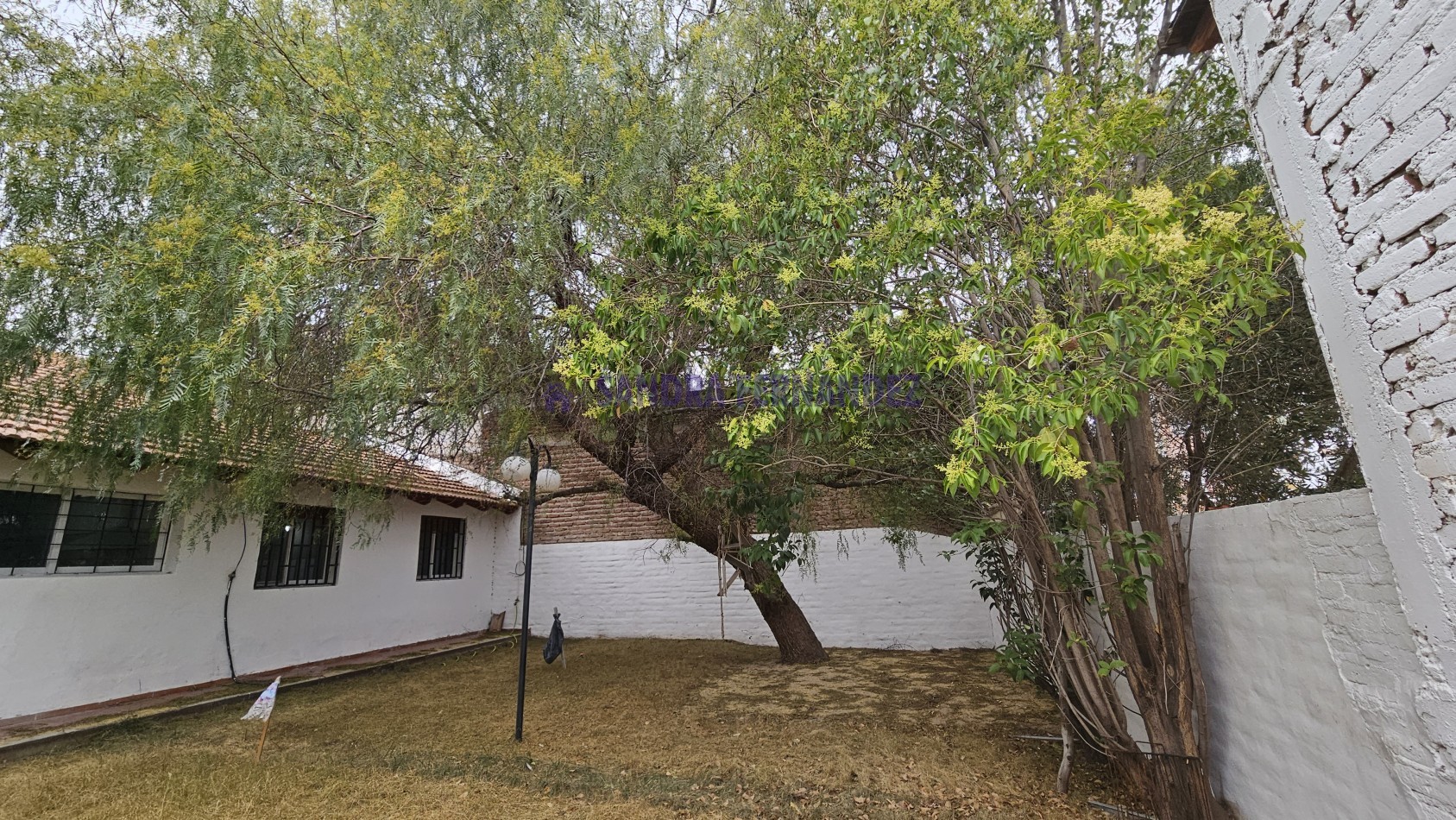 Neuquen Alquiler Casa  en planta baja Oficina 