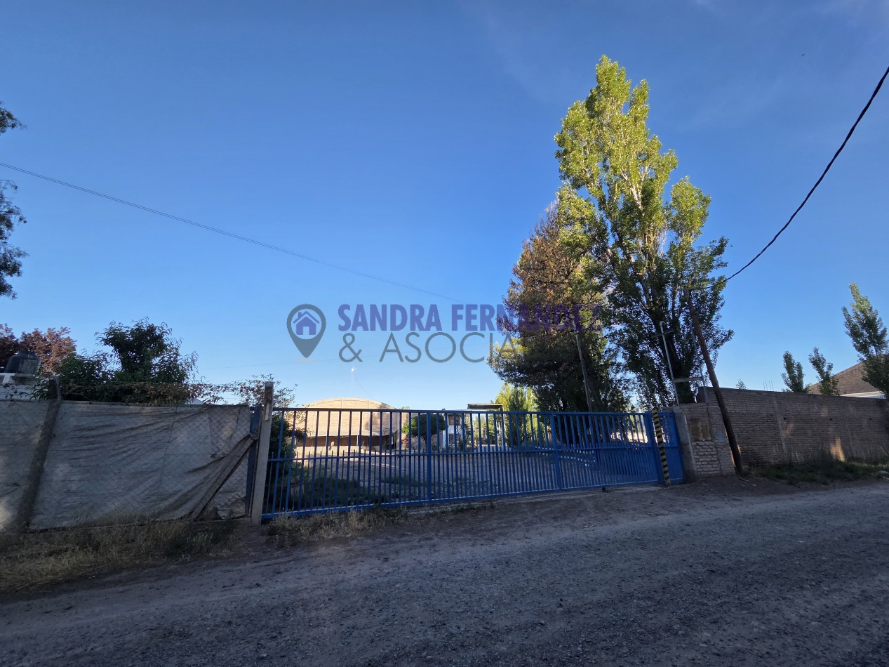 Neuquen  Centenario Alquiler Predio con Oficina Bascula Tinglado y casa de 3 dormitorios