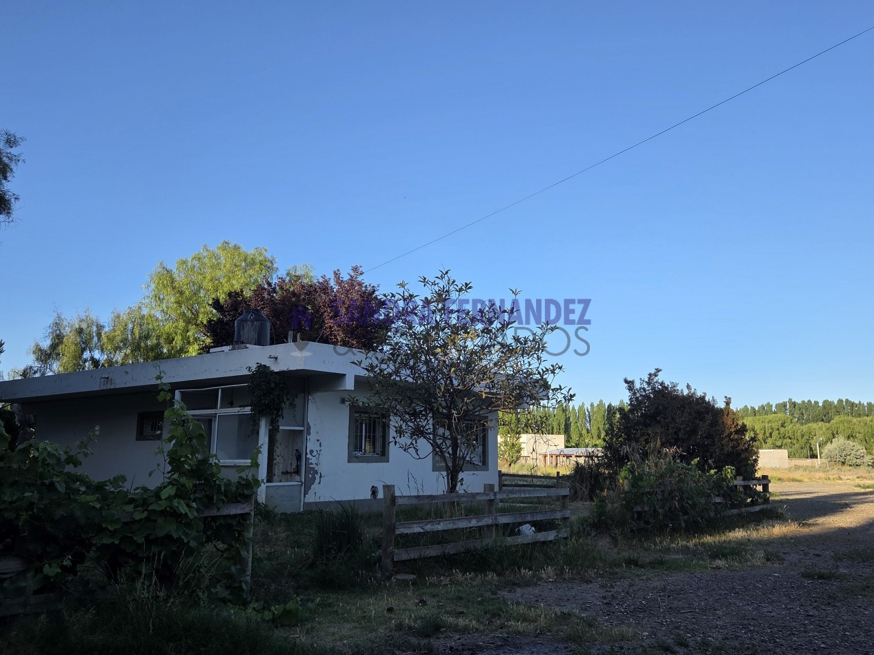 Neuquen  Centenario Alquiler Predio con Oficina Bascula Tinglado y casa de 3 dormitorios