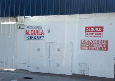 Neuquen Alquiler Monoambiente A ESTRENAR estilo Loft Zona Clinicas San Lucas/San Agustin/ Consejo educacion