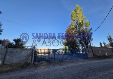 Neuquen Centenario Alquiler Predio de 6 hectareas con tinglado, galpon, casa y oficinas