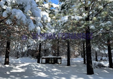 Neuquen. Venta. Villa Pehuenia. 2 Lotes en Altos de Pehuenia