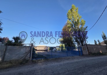 Neuquen  Centenario Alquiler Predio con Oficina Bascula Tinglado y casa de 3 dormitorios